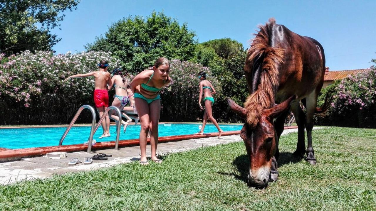 Agriturismo Il Bottaccino モンスンマーノ・テルメ エクステリア 写真
